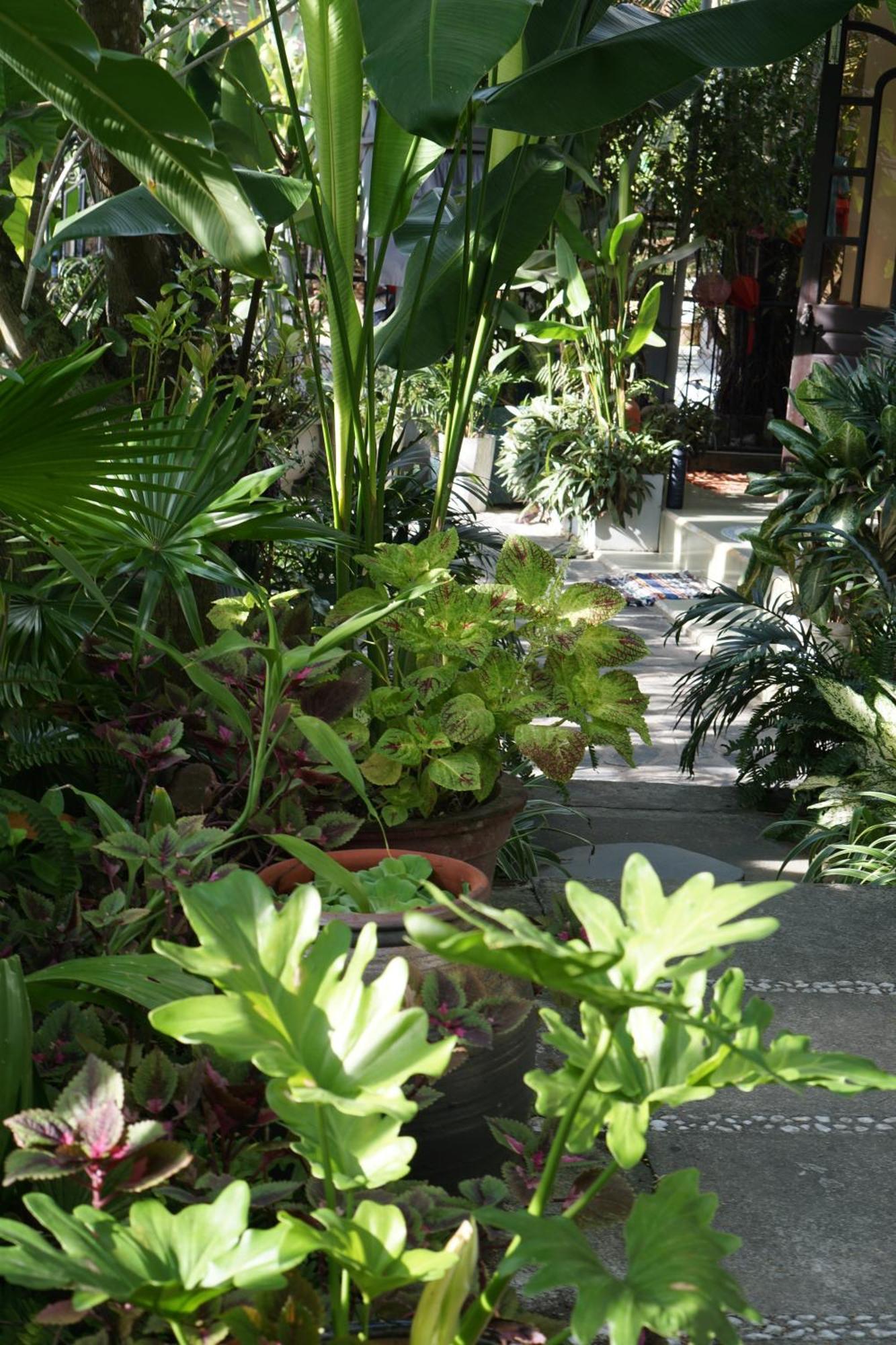Apartmán Hoi An Sunny Garden Exteriér fotografie