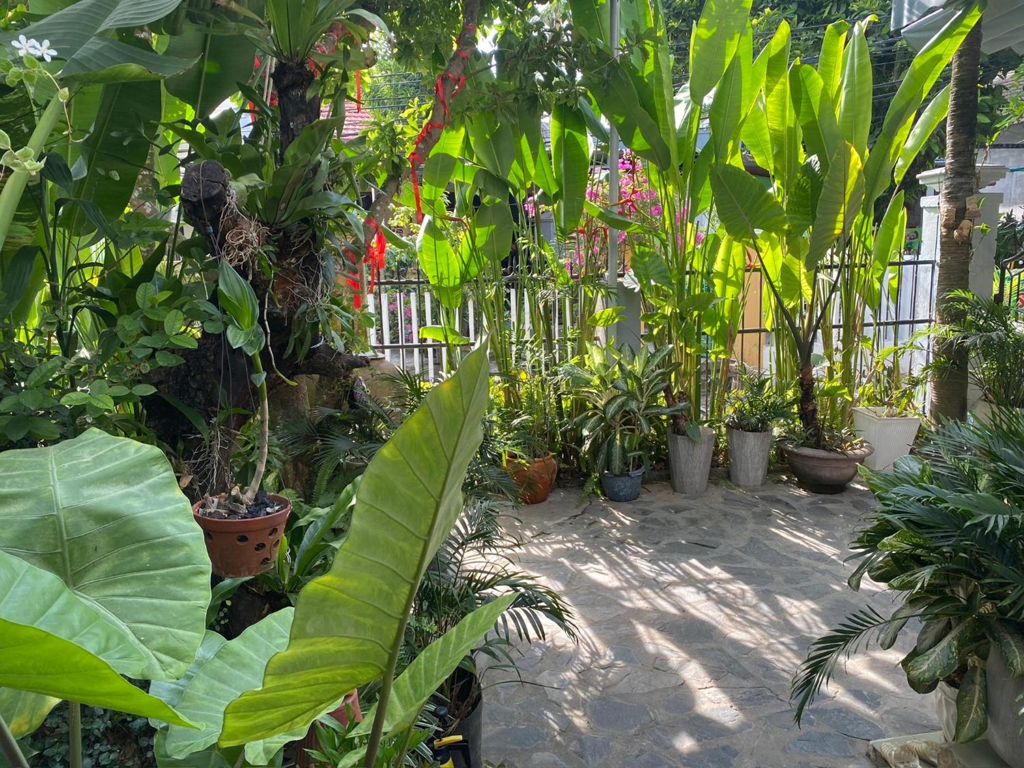 Apartmán Hoi An Sunny Garden Exteriér fotografie