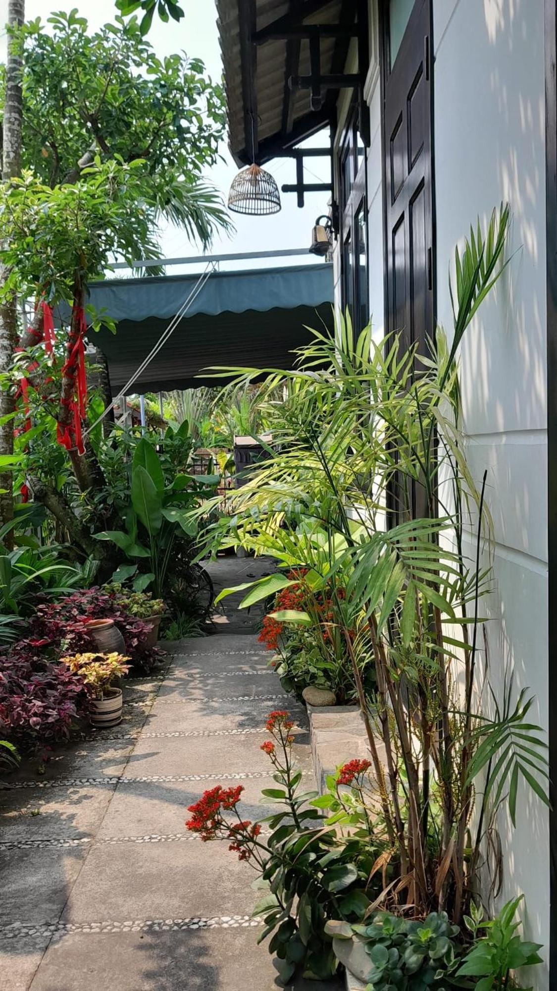Apartmán Hoi An Sunny Garden Exteriér fotografie