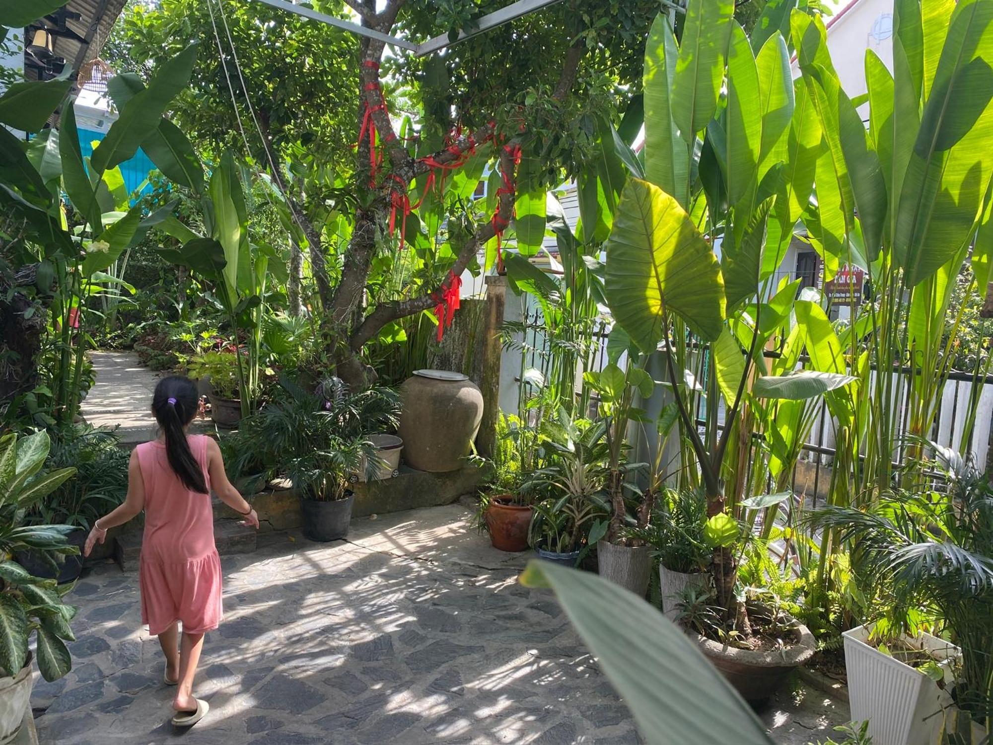 Apartmán Hoi An Sunny Garden Exteriér fotografie
